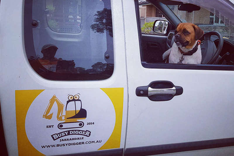 busy digger car